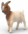 Schleich SLH 14929 Koza burska