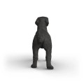 Schleich SLH 14923 FARM WORLD Czarna suczka labrador retriever