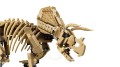LEGO Jurassic World 77985 Szkielety dinozaurów: triceratops