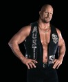 PLAYMOBIL 71959 WWE "Stone Cold" Steve Austin