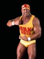 PLAYMOBIL 71958 WWE Hulk Hogan