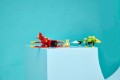 LEGO Sonic 77119 Tails i Tornado-1