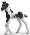 Schleich SLH 81481 HORSE CLUB Źrebię kolekcjonerskie Rocky