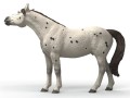 Schleich SLH 14916 HORSE CLUB Wałach Knabstrupper