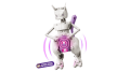 LEGO Pokemon 72163 SMART Play: Ucieczka z laboratorium Mewtwo