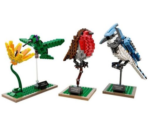 LEGO Ideas 21301 Birds