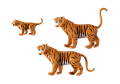 PLAYMOBIL 6645 Tygrysy