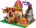 LEGO 41074 Elves Azari i magiczna piekarnia 