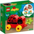 LEGO ® Duplo 10859 Moja pierwsza biedronka