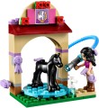 LEGO 41123 Friends Kąpiel źrebaka