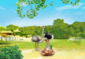 PLAYMOBIL 6646 Para strusi